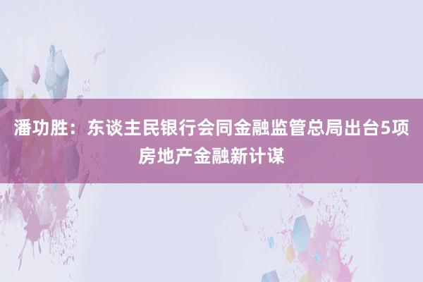 潘功胜：东谈主民银行会同金融监管总局出台5项房地产金融新计谋