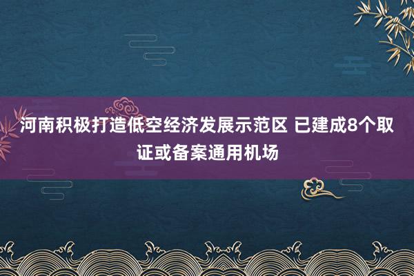 河南积极打造低空经济发展示范区 已建成8个取证或备案通用机场