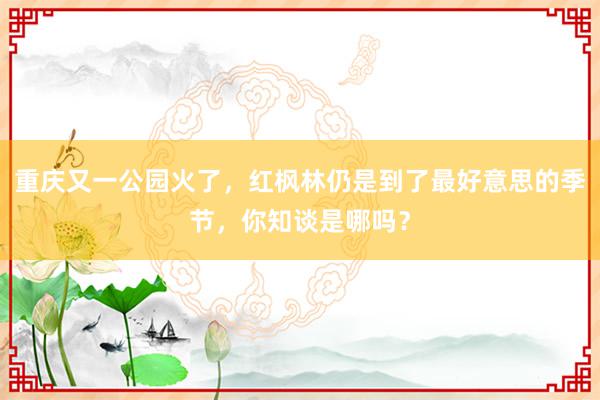 重庆又一公园火了，红枫林仍是到了最好意思的季节，你知谈是哪吗？